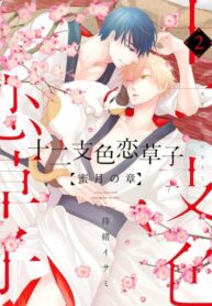 Cover 26894