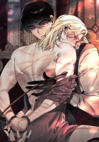 Cover 26898