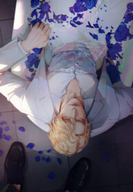 Cover 26946