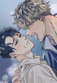 Cover 26978