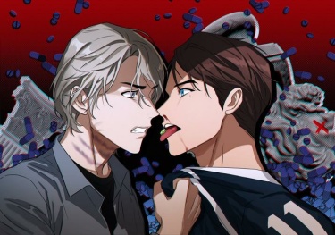 Cover 26990