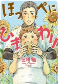 Cover 27008