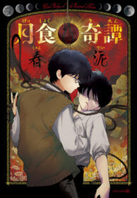 Cover 27066