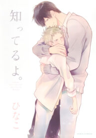 Cover 27068