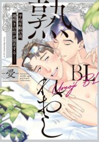 Cover 27082