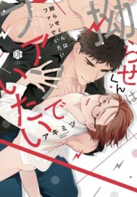 Cover 27096