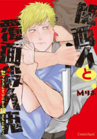Cover 27106
