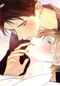 Cover 27108