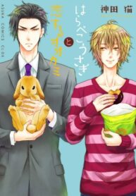 Cover 27128