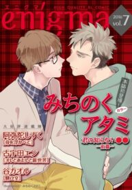 Cover 27132