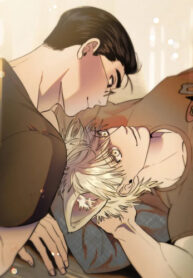 Cover 27156