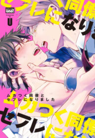Cover 27160
