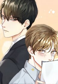 Cover 27162