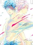 Cover 27166