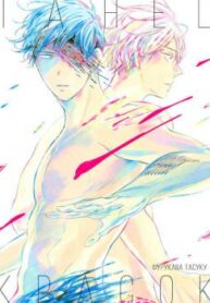 Cover 27166