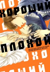 Cover 27184