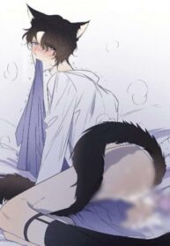 Cover 27202