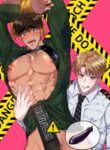 Cover 27212