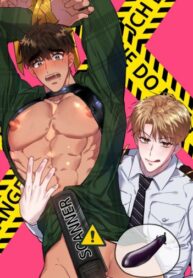 Cover 27212