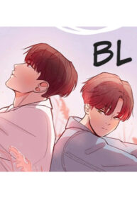 Cover 27218