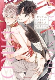 Cover 27220