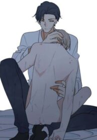 Cover 27232