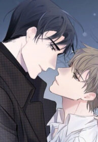Cover 27234