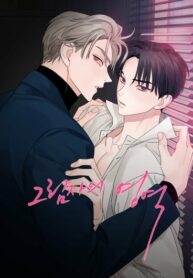 Cover 27272