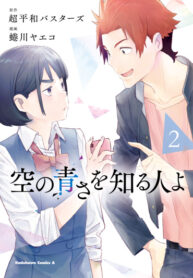 Cover 27290