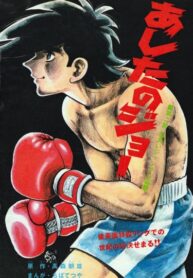 Cover 27294