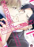 Cover 27328