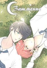 Cover 27332