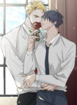Cover 27356