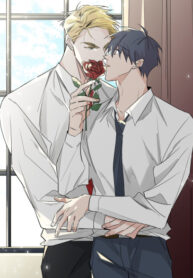 Cover 27356
