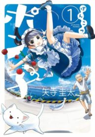 Cover 27452