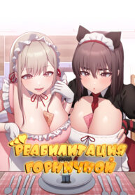 Cover 27462