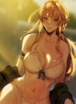 Cover 27494