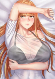 Cover 27516