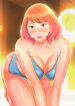 Cover 27531