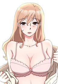 Cover 27556