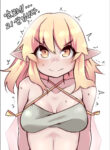 Cover 27574