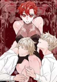 Cover 27576