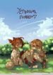 Cover 27624