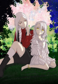 Cover 28186