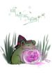 Cover 28234