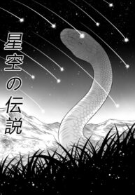 Cover 28247