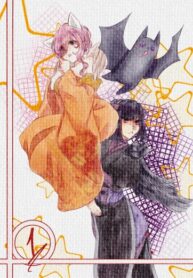 Cover 28552