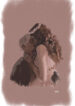 Cover 29000