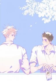 Cover 29306
