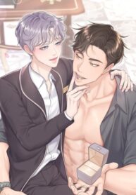 Cover 29312